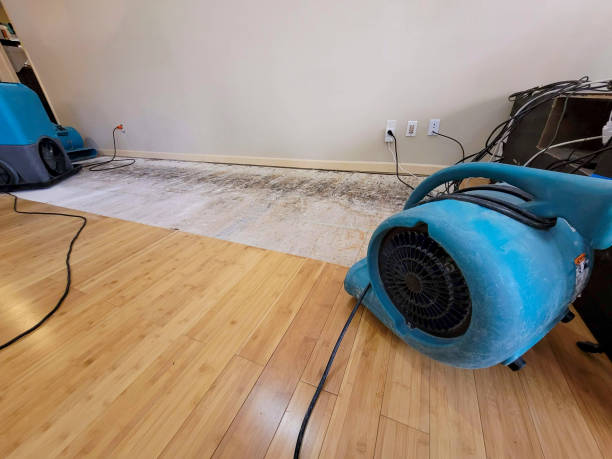 Professional Emergency Water Damage technician working in Walnut, IA